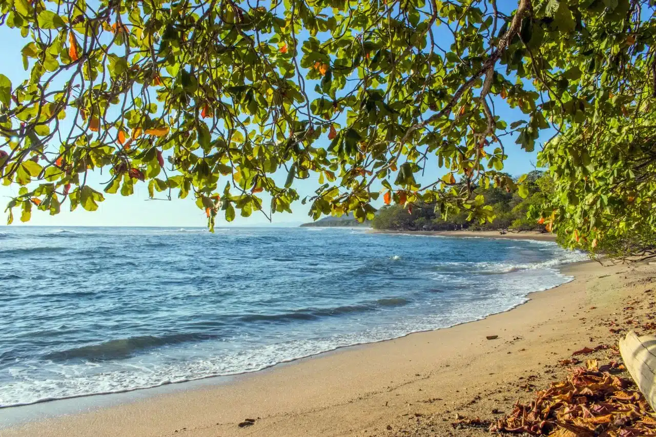 Beach - Golf Cart Rentals in Jaco Costa Rica