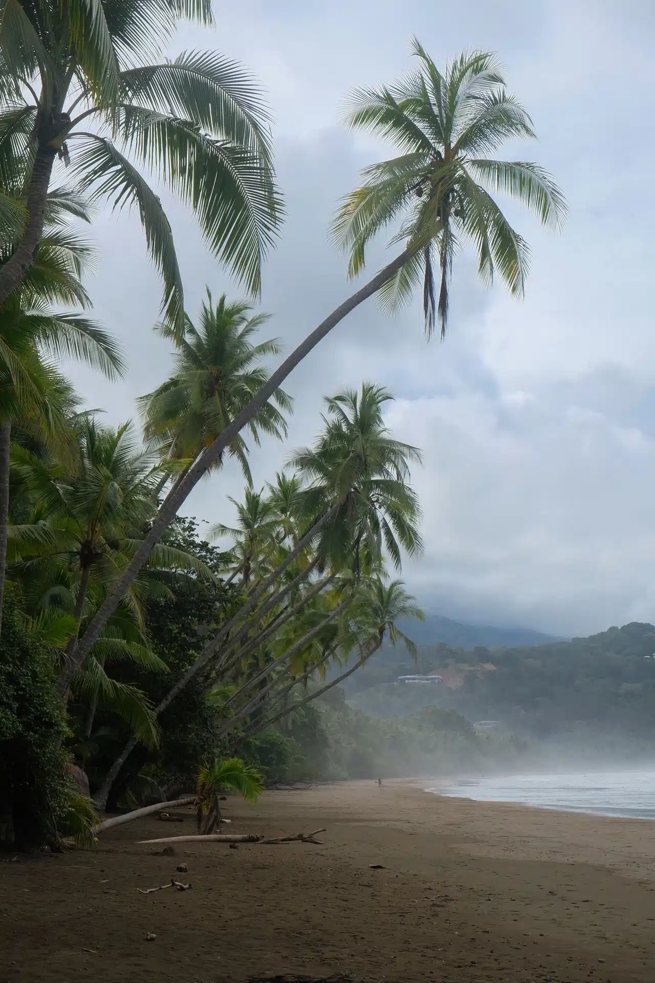 How to Travel in Jaco Beach
