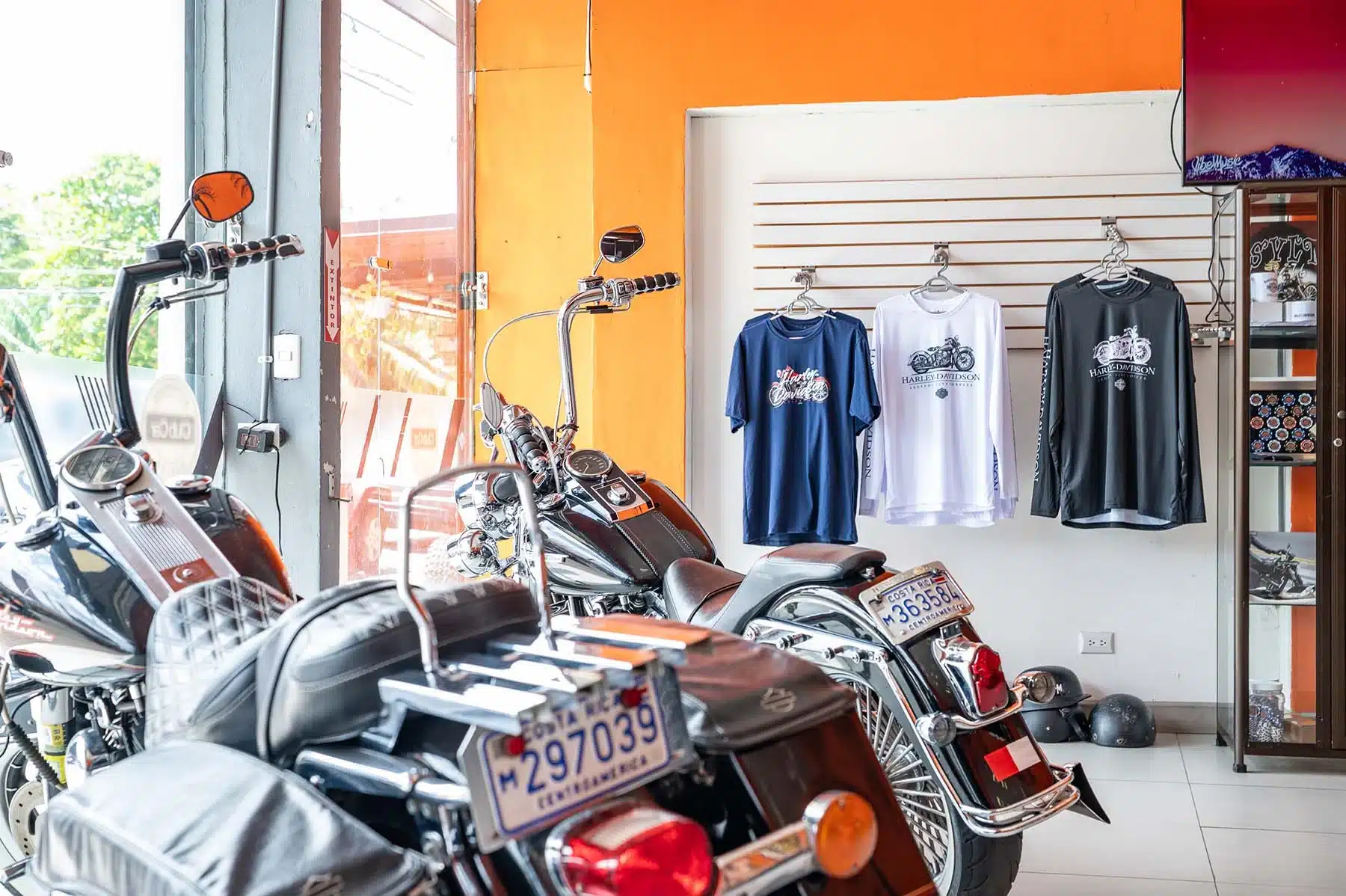 Harley Davidson Rental, Jaco Costa Rica